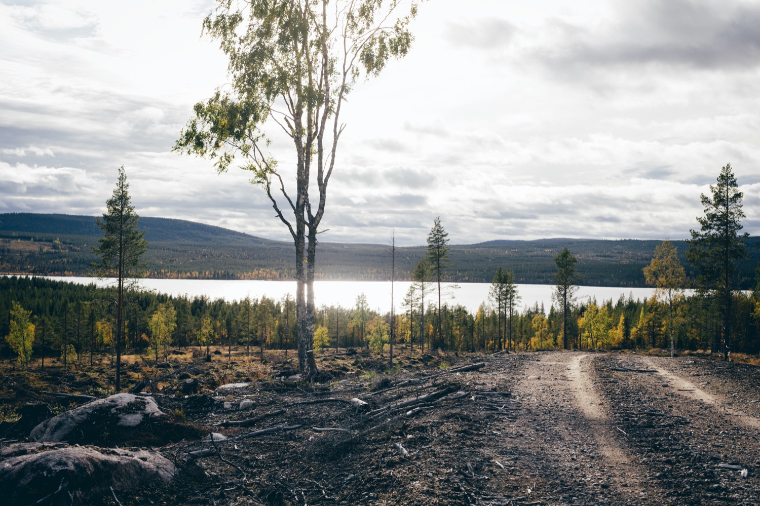 Kontakt med vården